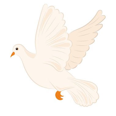 Tatlı beyaz güvercin Barış sembolü Vektör illüstrasyonu