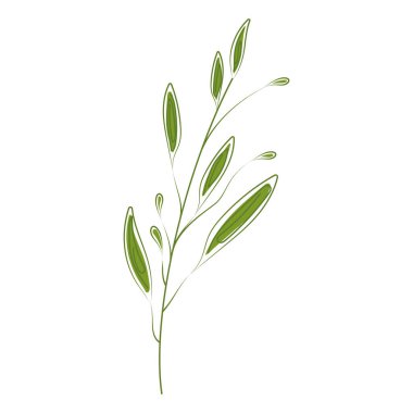 Bir ağaç yaprağı ikonu Vektör illüstrasyonunun çizimi