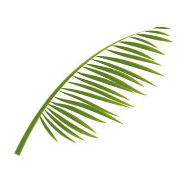 Bir ağaç yaprağı ikonu Vektör illüstrasyonunun çizimi