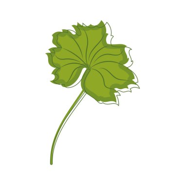 Bir ağaç yaprağı ikonu Vektör illüstrasyonunun çizimi
