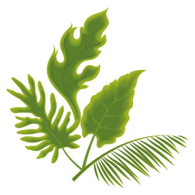 Bir ağaç yaprağının renkli çizimi Vektör illüstrasyonuName