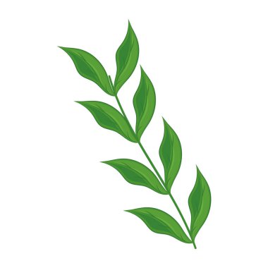 Yaprak Vektörü illüstrasyonunun gerçekçi ayrıntılı dalı