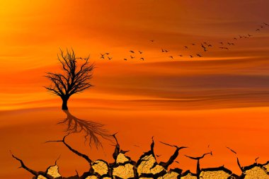 Kuraklık temalı bir sahne. Arid ve çölleşen dünya. 