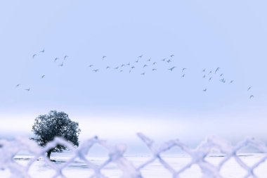 Tel örgülerin arkasından görünen bir kış manzarası. Kış doğası. 