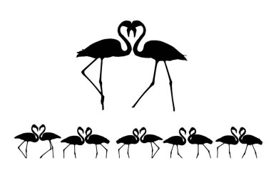 Flamingolar kalp işaretini oluşturuyor. Vektör görüntüleri. Beyaz arkaplan. 