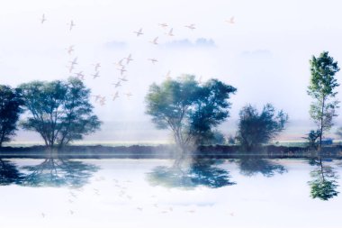 Mistik, sessiz ve sakin bir manzara. Estetik sisli doğa fotoğrafı.. 