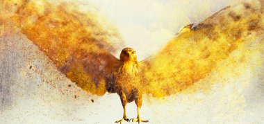 Uçan yırtıcı kuş. Soyut sanat doğası. Dağılım, sıçrama efekti. 