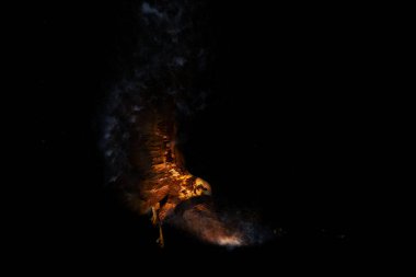 Soyut sanat doğası. Dağılma, sıçrama etkisi. Siyah arkaplan.