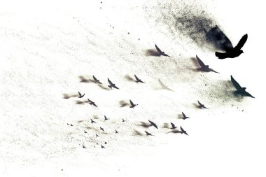 Uçan kuşlar. Soyut sanat doğası. Dağılım, sıçrama efekti. 