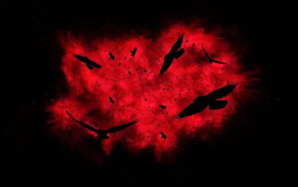 Uçan kargalar. Sanat yaban hayatı. Siyah arkaplan. 