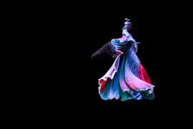 Harika renkleri olan beta balığı. Siyah arka plan. Beta ihtişamı.