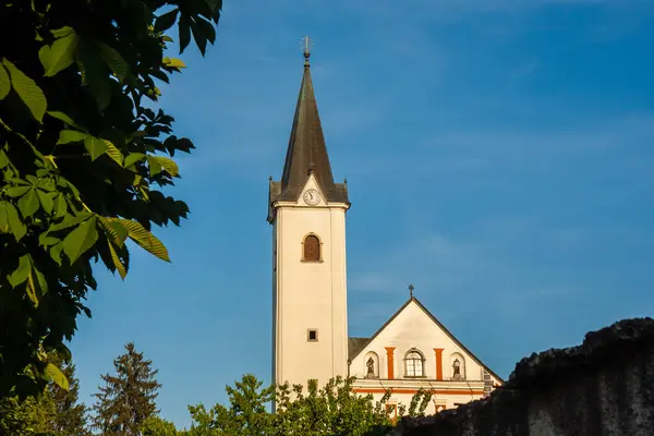 Hırvatistan Bakire Meryem Samobor Varsayımı Kilisesi — Stok fotoğraf
