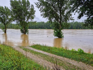 06.08.2023. Hırvatistan 'ın Donja Dubrava kenti yakınlarındaki Drava Nehri' nin yüksek su seviyesi. Su nehir yatağını taşırdı ve yerleşim yerini tehdit etti..