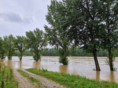 06.08.2023. Hırvatistan 'ın Donja Dubrava kenti yakınlarındaki Drava Nehri' nin yüksek su seviyesi. Su nehir yatağını taşırdı ve yerleşim yerini tehdit etti..