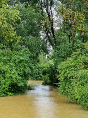 06.08.2023. Hırvatistan 'ın Donja Dubrava kenti yakınlarındaki Mura Nehri' nin yüksek su seviyesi. Su nehir yatağını taşırdı ve yerleşim yerini tehdit etti..
