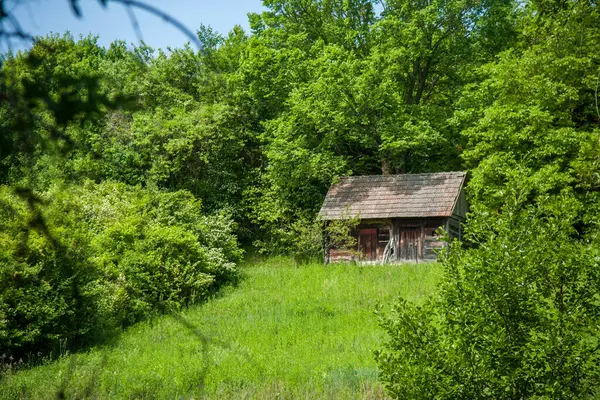 stock image A quaint wooden cabin stands amidst lush green foliage, surrounded by a dense forest, with a serene and rustic ambiance