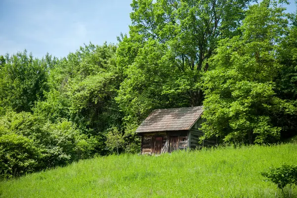 stock image A quaint wooden cabin stands amidst lush green foliage, surrounded by a dense forest, with a serene and rustic ambiance