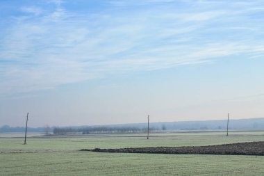 Uçsuz bucaksız, soğuk bir alan, sakin, mavi bir gökyüzünün altında uzanıyor. Nadir ağaçlar ve telefon direkleri manzarayı noktalayıp huzurlu bir kış manzarası yaratıyor..