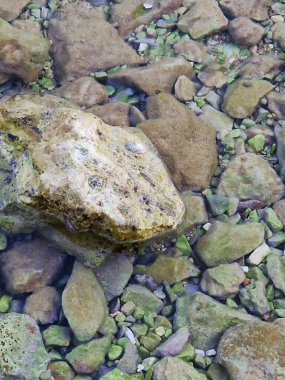 Temiz, sığ suyun yakın görüntüsü kayaları, çakıl taşlarını ve küçük bir deniz kabuğunu ortaya çıkarıyor. Şeffaf su, batık taşların doğal dokularını ve renklerini ön plana çıkararak huzurlu bir sahil manzarası yaratıyor..