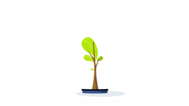 Crescer Árvore Com Moedas Lucro Renda Sucesso Financeiro Ganho Dinheiro — Vídeo de Stock