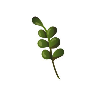 Yaprak ikon vektör illüstrasyon tasarımlı yeşil bitkinin dalı
