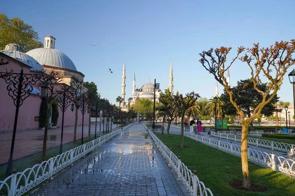 Pemandangan Museum Hagia Sophia Yang Terkenal Dunia Dan Taman Sultan Stok Gambar
