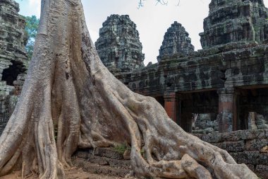 Angkor, Siem Reap, Kamboçya, Banteay Kdei. Angkor kompleksinin içindeki tapınaklardan biri.