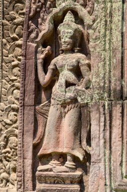 Angkor, Siem Reap, Kamboçya, Ta Phrom Tapınağı. Angkor kompleksinin içindeki tapınaklardan biri.