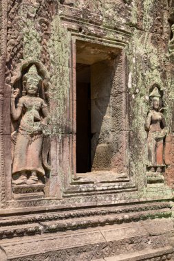 Angkor, Siem Reap, Kamboçya, Ta Phrom Tapınağı. Angkor kompleksinin içindeki tapınaklardan biri.