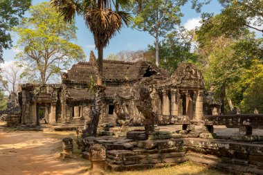 Angkor, Siem Reap, Kamboçya, Banteay Kdei. Angkor kompleksinin içindeki tapınaklardan biri.