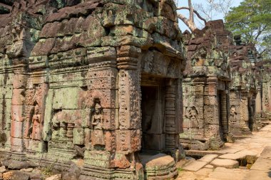 Phrea Khan Tapınağı, Angkor, Siem Reap, Kamboçya, Phrea Khan tapınağı, Angkor kompleksindeki tapınaklardan biri.