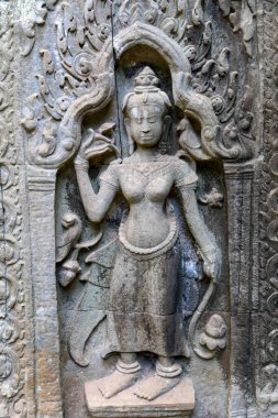 Angkor, Siem Reap, Kamboçya, Ta Phrom Tapınağı. Angkor kompleksinin içindeki tapınaklardan biri.