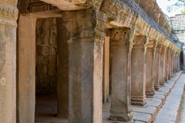 Angkor, Siem Reap, Kamboçya, Ta Phrom Tapınağı. Angkor kompleksinin içindeki tapınaklardan biri.