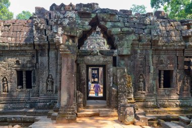 Ta Som Tapınağı, Angkor, Siem Reap, Kamboçya, Phrea Khan tapınağındaki vahşi maymun, Angkor kompleksindeki tapınaklardan biri.