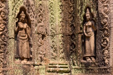 Ta Som Tapınağı, Angkor, Siem Reap, Kamboçya, Phrea Khan tapınağındaki vahşi maymun, Angkor kompleksindeki tapınaklardan biri.
