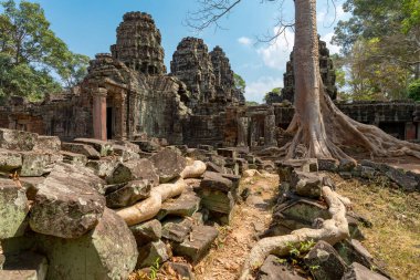 Angkor, Siem Reap, Kamboçya, Banteay Kdei. Angkor kompleksinin içindeki tapınaklardan biri.