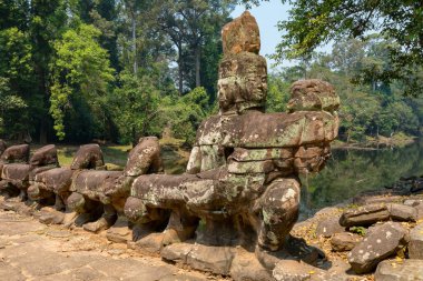Phrea Khan Tapınağı, Angkor, Siem Reap, Kamboçya, Phrea Khan tapınağı, Angkor kompleksindeki tapınaklardan biri.