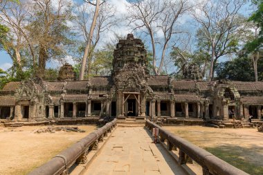 Angkor, Siem Reap, Kamboçya, Ta Phrom Tapınağı. Angkor kompleksinin içindeki tapınaklardan biri.