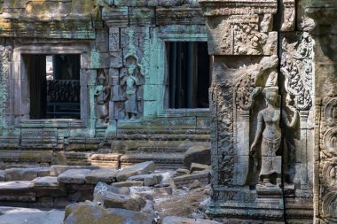 Angkor, Siem Reap, Kamboçya, Ta Phrom Tapınağı. Angkor kompleksinin içindeki tapınaklardan biri.
