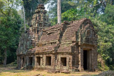 Phrea Khan Tapınağı, Angkor, Siem Reap, Kamboçya, Phrea Khan tapınağı, Angkor kompleksindeki tapınaklardan biri.