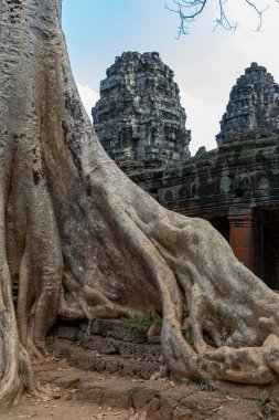 Angkor, Siem Reap, Kamboçya, Banteay Kdei. Angkor kompleksinin içindeki tapınaklardan biri.