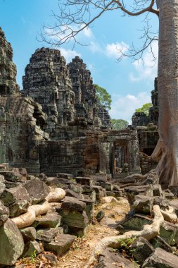 Angkor, Siem Reap, Kamboçya, Banteay Kdei. Angkor kompleksinin içindeki tapınaklardan biri.