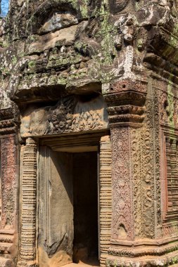 Angkor, Siem Reap, Kamboçya, Ta Phrom Tapınağı. Angkor kompleksinin içindeki tapınaklardan biri.