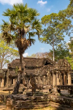 Angkor, Siem Reap, Kamboçya, Banteay Kdei. Angkor kompleksinin içindeki tapınaklardan biri.