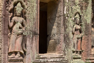 Angkor, Siem Reap, Kamboçya, Ta Phrom Tapınağı. Angkor kompleksinin içindeki tapınaklardan biri.