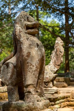 Angkor, Siem Reap, Kamboçya, Banteay Kdei. Angkor kompleksinin içindeki tapınaklardan biri.
