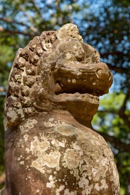 Angkor, Siem Reap, Kamboçya, Banteay Kdei. Angkor kompleksinin içindeki tapınaklardan biri.