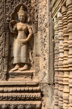 Angkor, Siem Reap, Kamboçya, Ta Phrom Tapınağı. Angkor kompleksinin içindeki tapınaklardan biri.