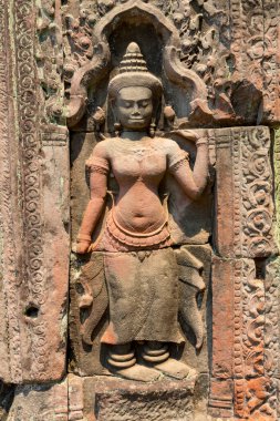 Phrea Khan Tapınağı, Angkor, Siem Reap, Kamboçya, Phrea Khan tapınağı, Angkor kompleksindeki tapınaklardan biri.