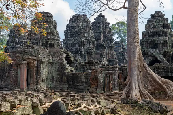 Angkor, Siem Reap, Kamboçya, Banteay Kdei. Angkor kompleksinin içindeki tapınaklardan biri.
